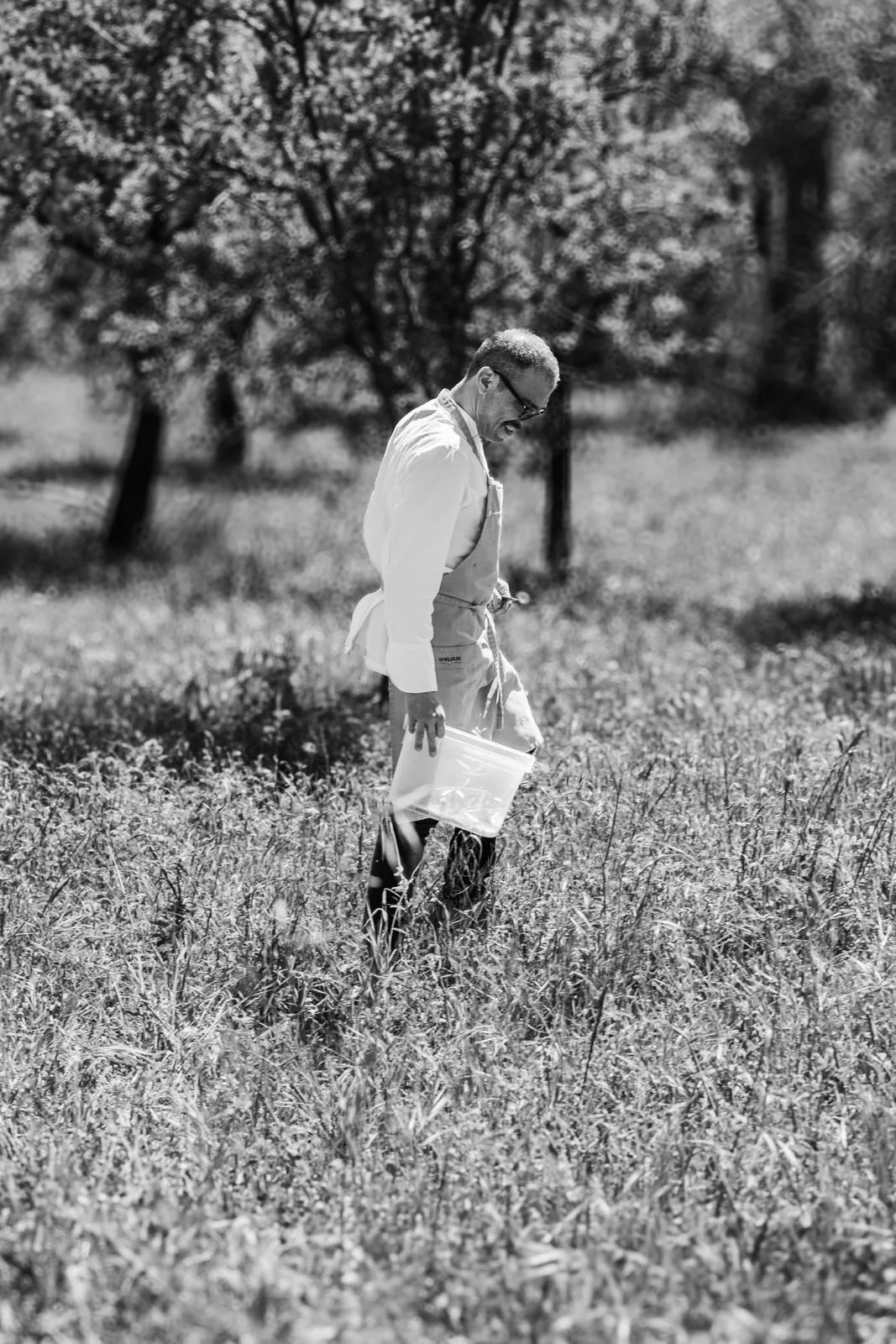 Lo chef raccoglie materia prima di stagione